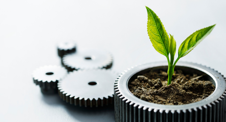 sprout emerging from dirt in a cog