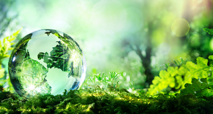 water droplet globe on moss